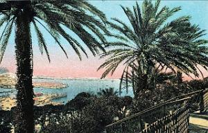ORAN - PORT LETANG PROMENADE DE ET LE PORT ET QUAIS 